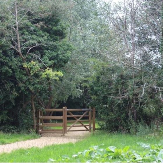 St Julian's Wood