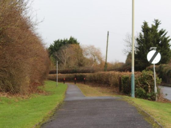 Roadside hedges