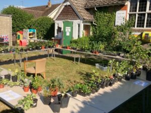 Garden sale plant sale