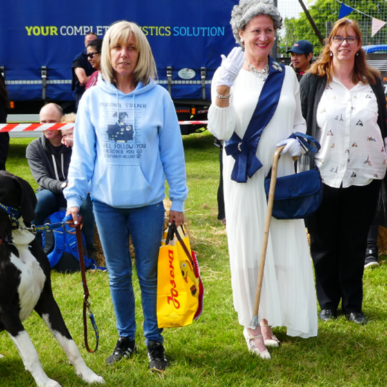Dog show winners
