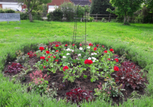 Jubilee planting