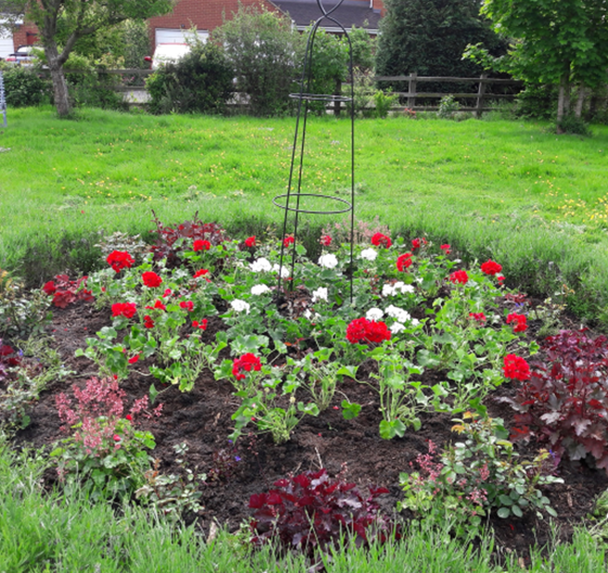Jubilee planting