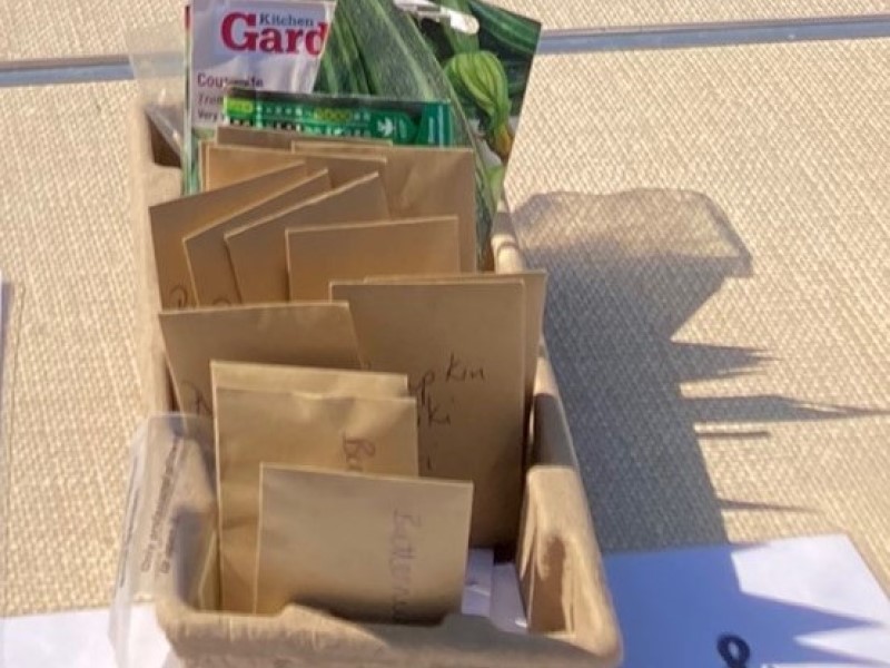 Packets of seeds