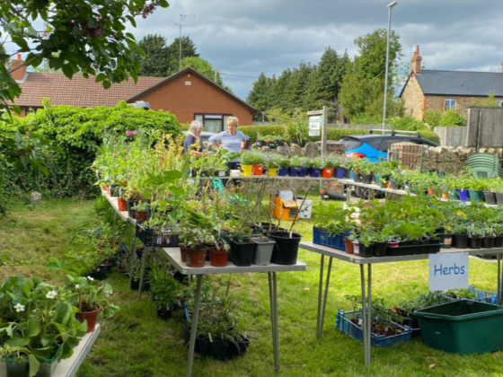 Gardening Club Plant Sale
