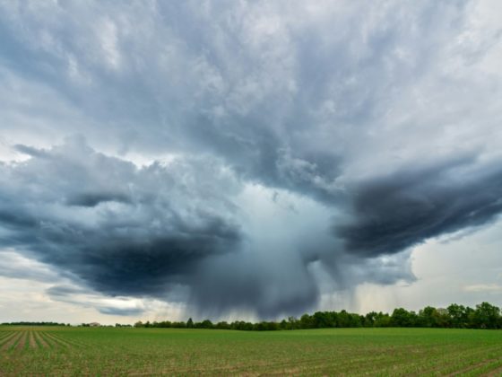 Microburst Thunderstorm