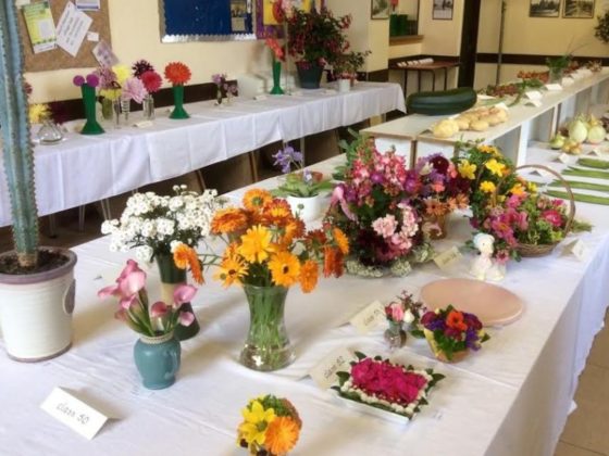 Class exhibits at the Gardening Club Annual Flower and Produce Show