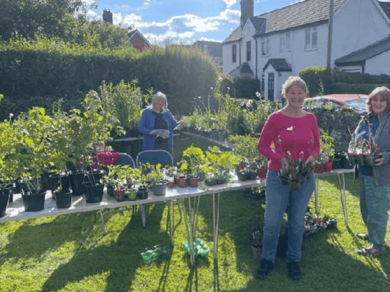 Gardening Club Plant Sale