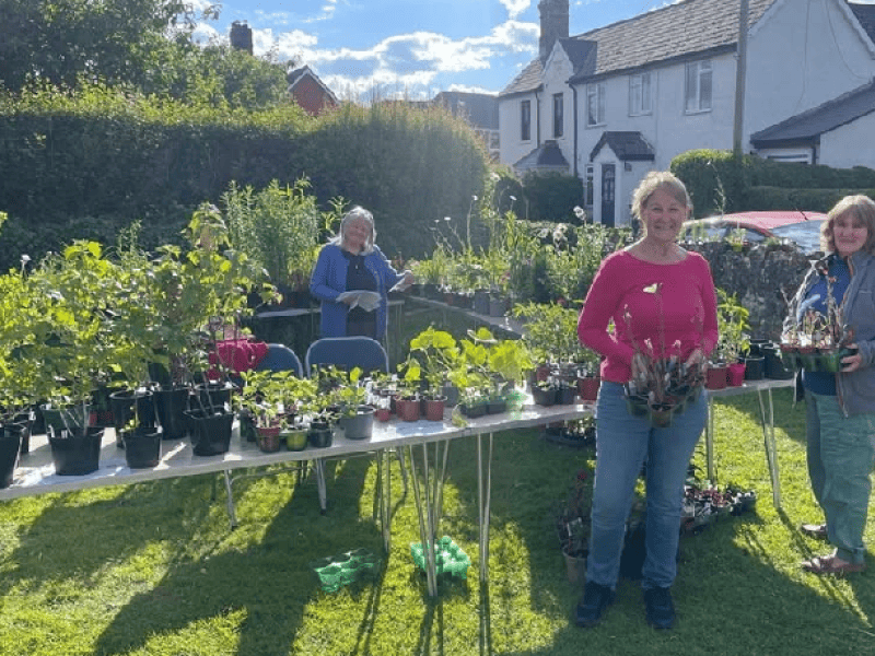 Gardening Club Plant Sale