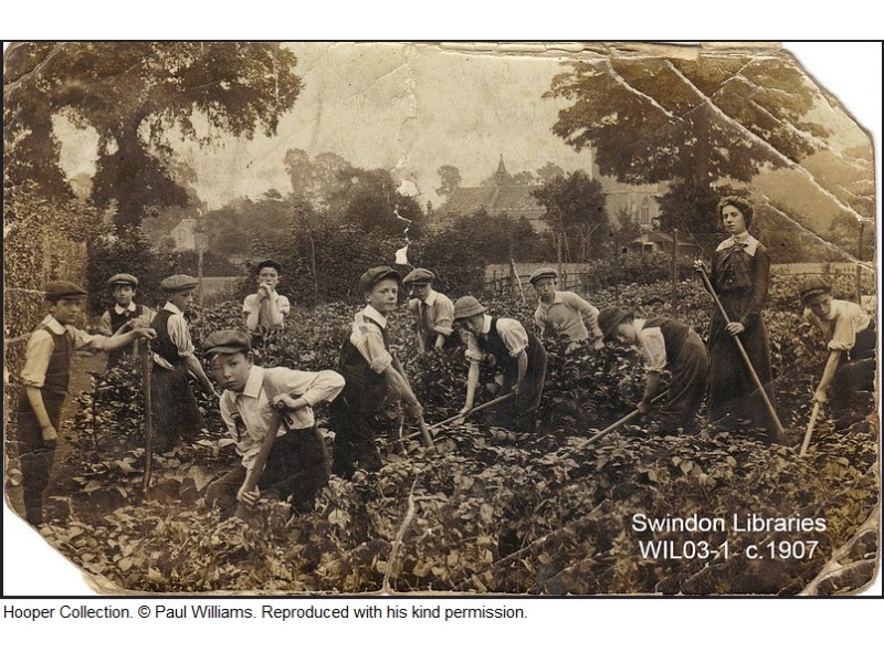 School gardening in 1907