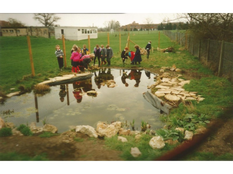 The new pond in the school grounds at the new pond in the school grounds