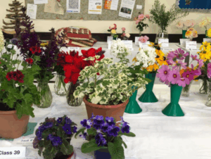 Gardening Club Annual Show - Plants and Flowers